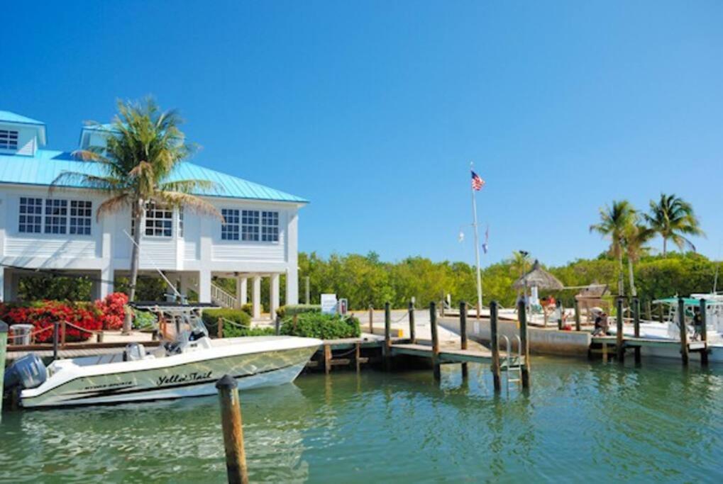 Welcome To The Pelican Lodge ! Tavernier Экстерьер фото