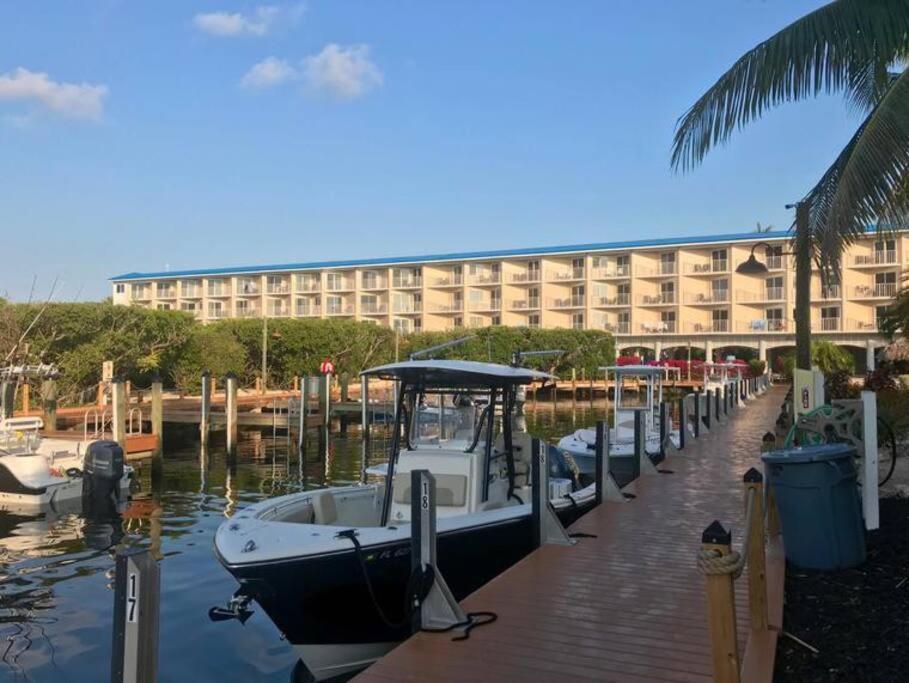 Welcome To The Pelican Lodge ! Tavernier Экстерьер фото
